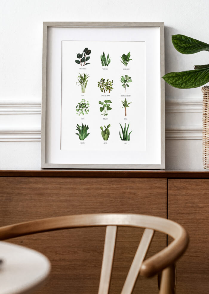 Blumen – 1